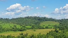 FAZENDA COM 338 ALQUEIRÃO A  VENDA CMC