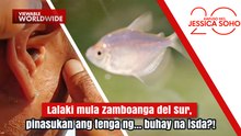 Lalaki mula Zamboanga del Sur, pinasukan ang tenga ng buhay na isda?! | Kapuso Mo, Jessica Soho