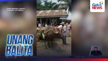 Karreta, ginamit bilang "bridal car" | Unang Balita