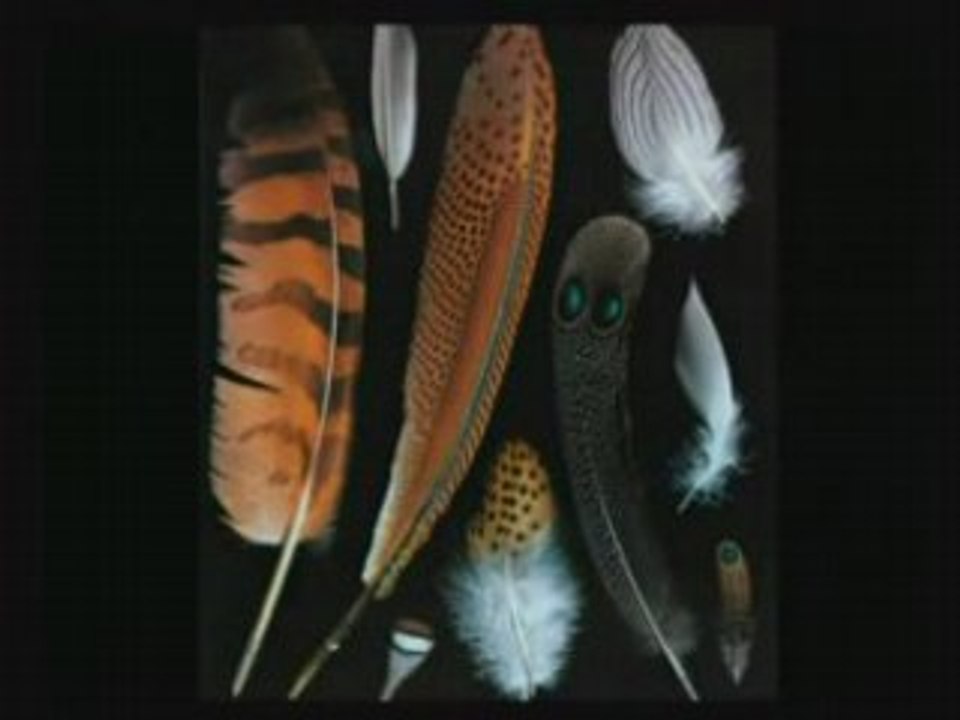 le coran -3/3 mene vers la science francais Harunyahya