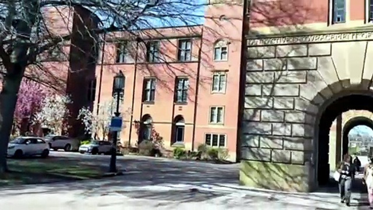 ¿ADIÓS a los Tratamientos de Conductos? REGENERACIÓN Dental