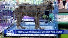 PAW Expo 2026 di PIK 2 Sedot Antusiasme, Targetkan 65 Ribu Pengunjung | SAPA PAGI