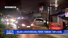 Hujan Deras-Angin Kencang, Pohon Tumbang Timpa Mobil di Jakarta Timur | SAPA PAGI