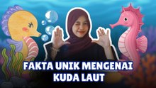 ​Jarang Diketahui! Ini Fakta Unik Kuda Laut yang Beda dari Ikan Lain-Serius Ini Hewan?