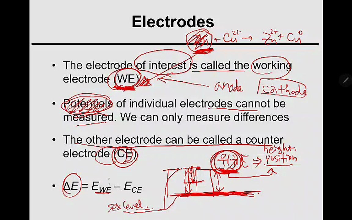 Electroides_E