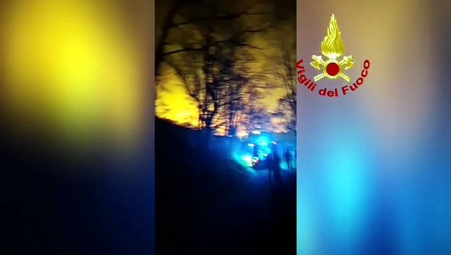 Vasto incendio nel Catanzarese: il fuoco devasta ettari di macchia mediterranea tra Martirano Antico e Conflenti