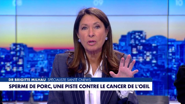 La chronique santé : sperme de porc, une piste contre le cancer de l'oeil