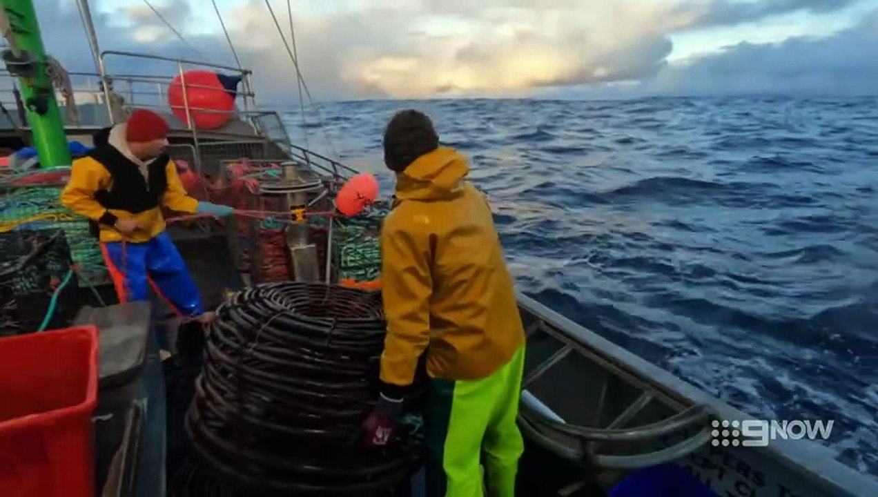 Aussie Lobster Men S05E06 9NOW H 264