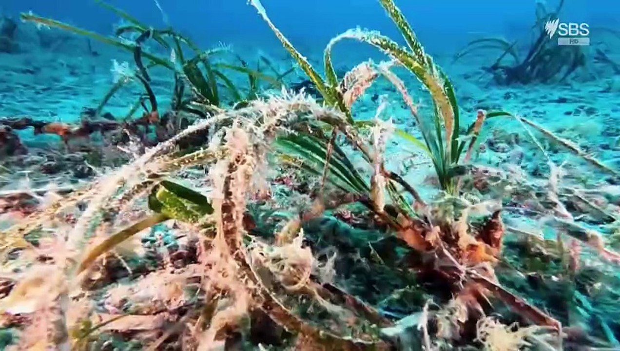 the adriatic sea s01e05