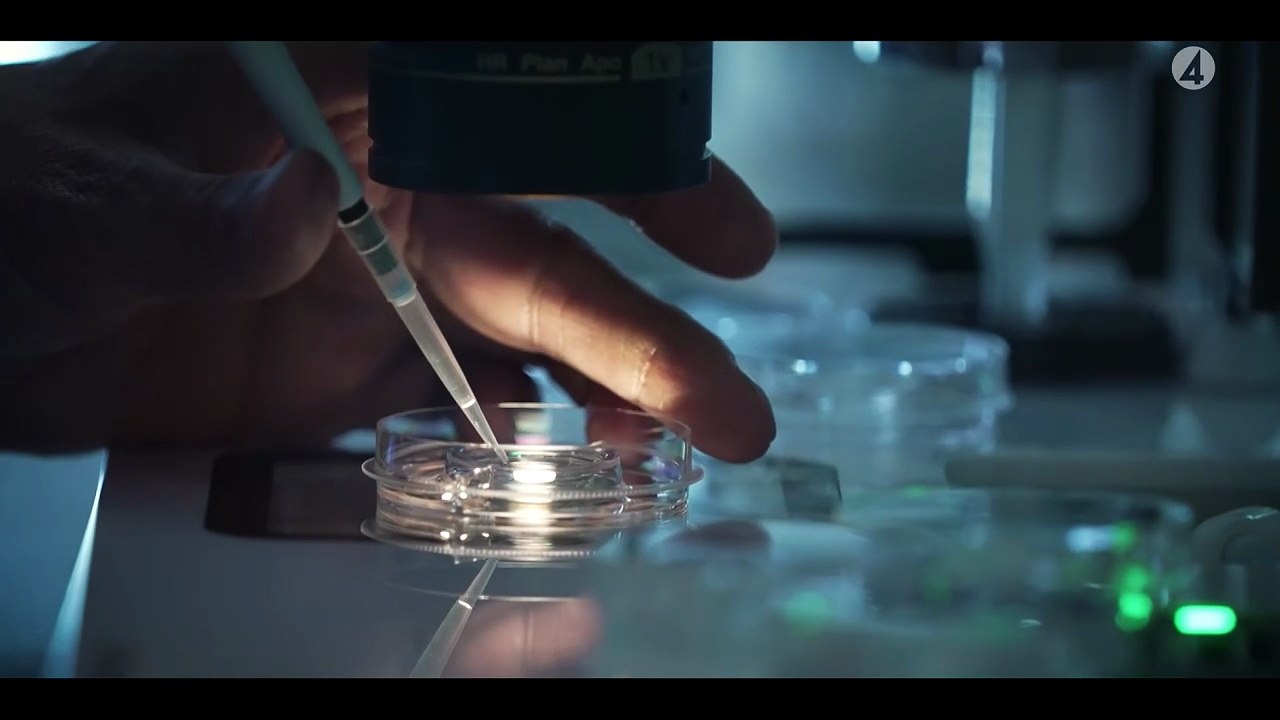 kalla fakta barnmakarna s01e01 experimenten swedish ollonborre