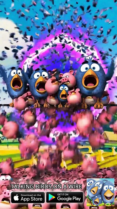 Bro opened a portal to the pig dimension! 🐷🌌 #talkingbirds