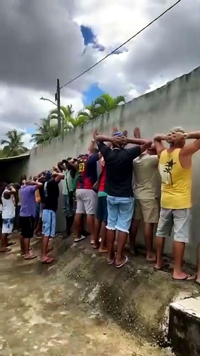 PM interrompe rinha de galo, apreende R$ 150 mil e resgata mais de 30 animais em Salvador