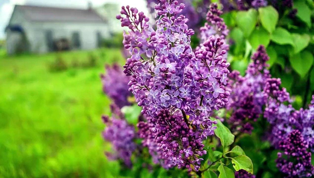 Book Your Stay at a Top Prince Edward County Ontario Bed and Breakfast