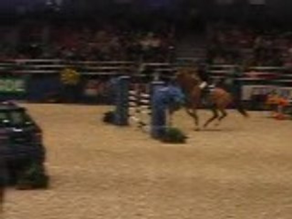 Salonchevalparis2007 125