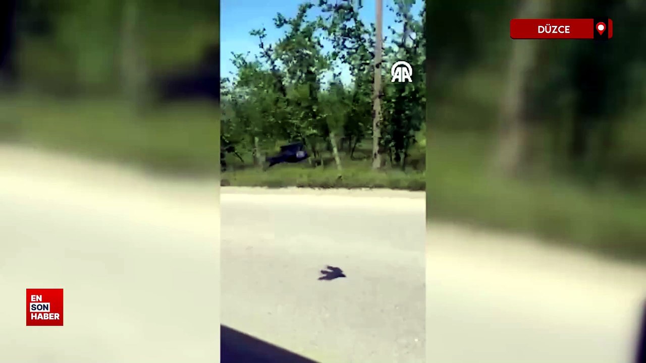 Düzce'de karganın seyir halindeki otomobilde seyahati