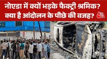 नोएडा में फैक्ट्री वर्कर्स के आंदोलन के पीछे र‍िचा ग्लोबल कैसे? जानें