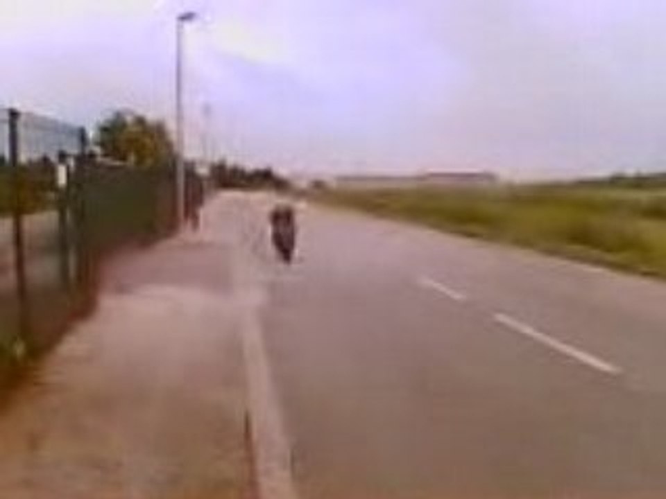 Sprojectpointe