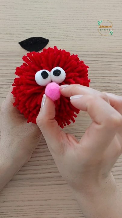 Cute and Easy Pom Pom Craft