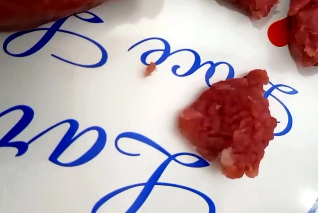 Mulher denuncia carne com larvas comprada em supermercado na Chã da Jaqueira, em Maceió