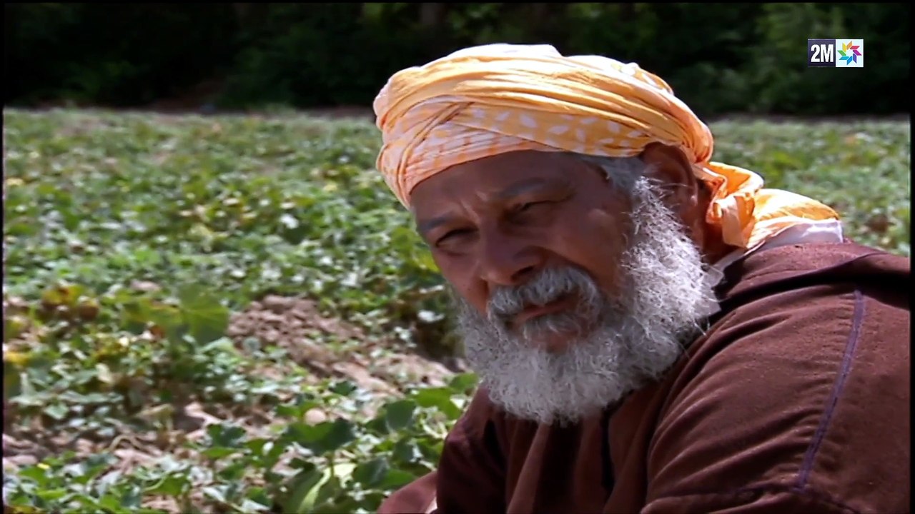 مسلسل وجع التراب الحلقة 22
