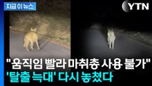대전 '탈출 늑대' 늑구 드디어 발견했는데...포획망 뚫리며 놓쳤다 [지금이뉴스] / YTN