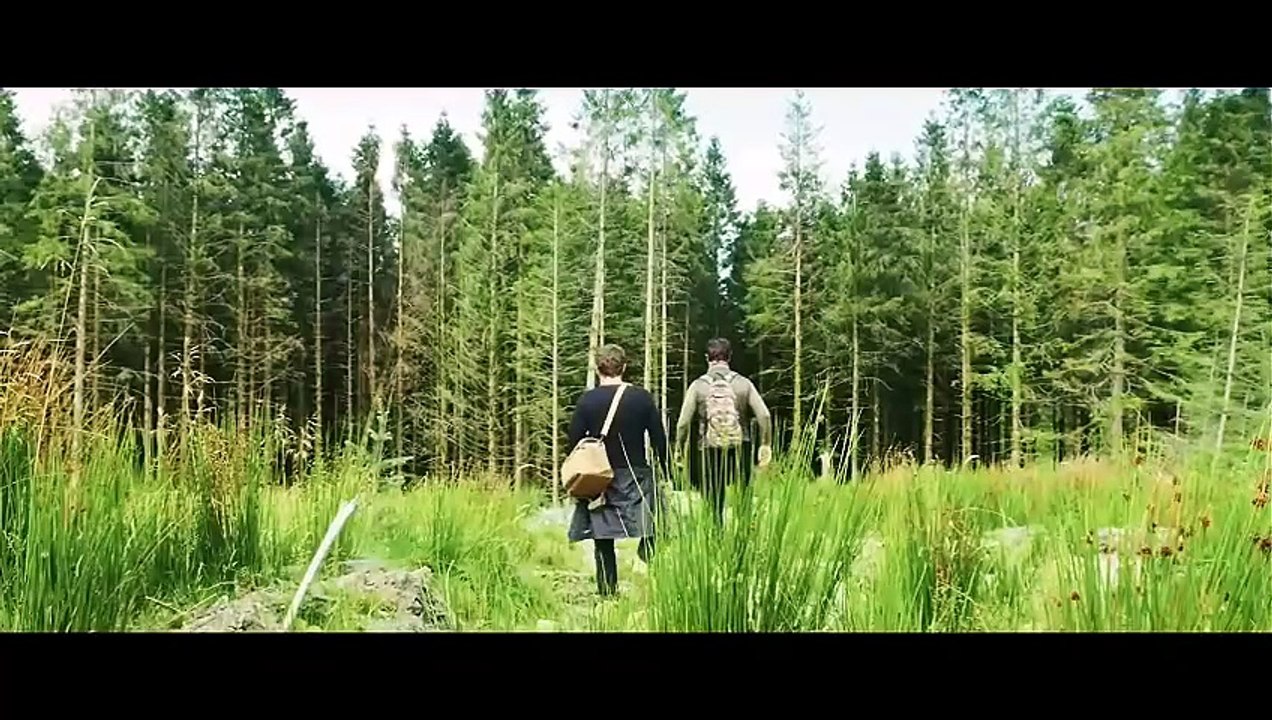 Dragon Fury 3 (2025) An ancient Nightmare [Full Movie] [Long Version]Full EP - Full