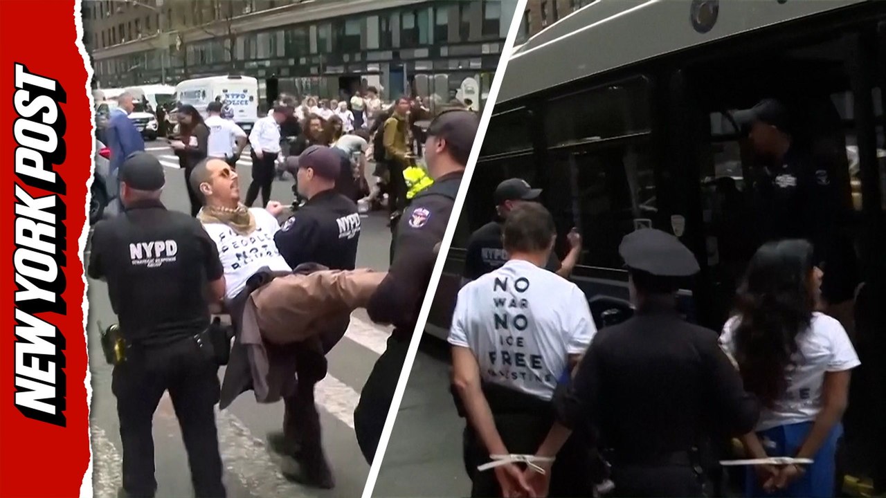 Police detain protester outside NY senator's of...