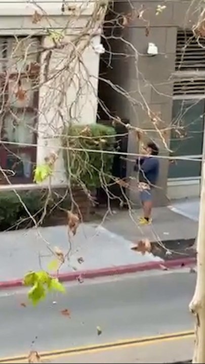 See moment San Diego PD K9 takes down armed stabbing suspect