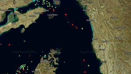 Traffic appears to halt in the Strait of Hormuz