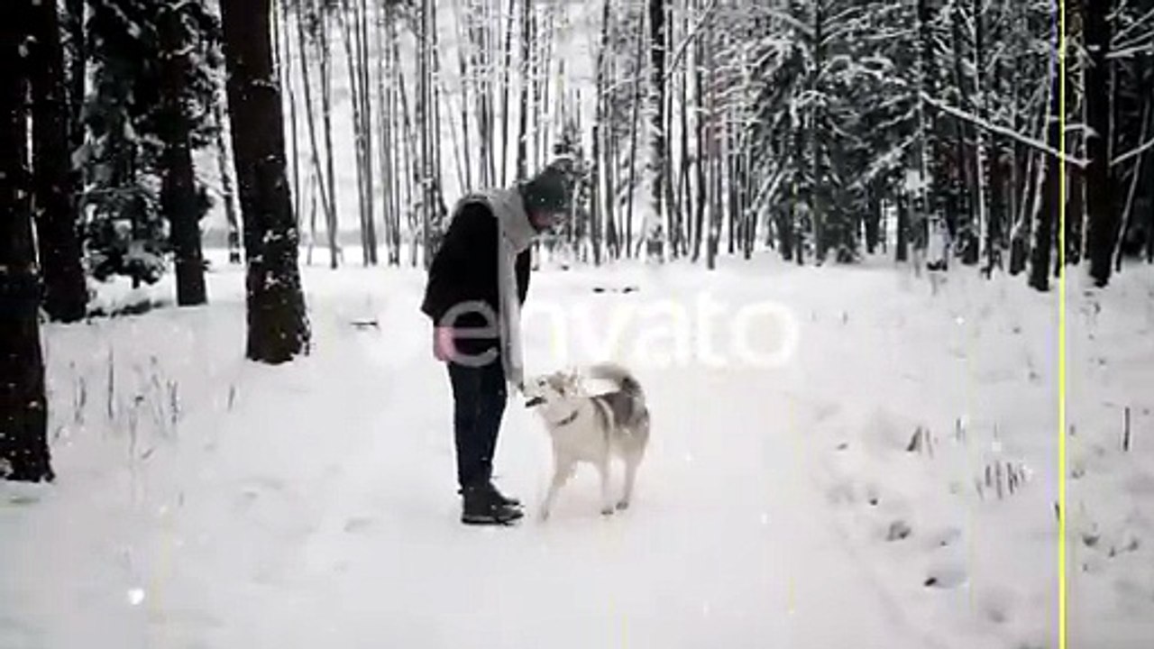Falling Snow Overlays with Alpha Channel for Winter Videos