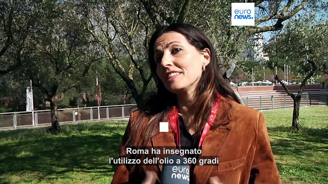 Raccolta delle olive al Colosseo: l’olio IGP che nasce tra le rovine e arriva dagli antichi Romani