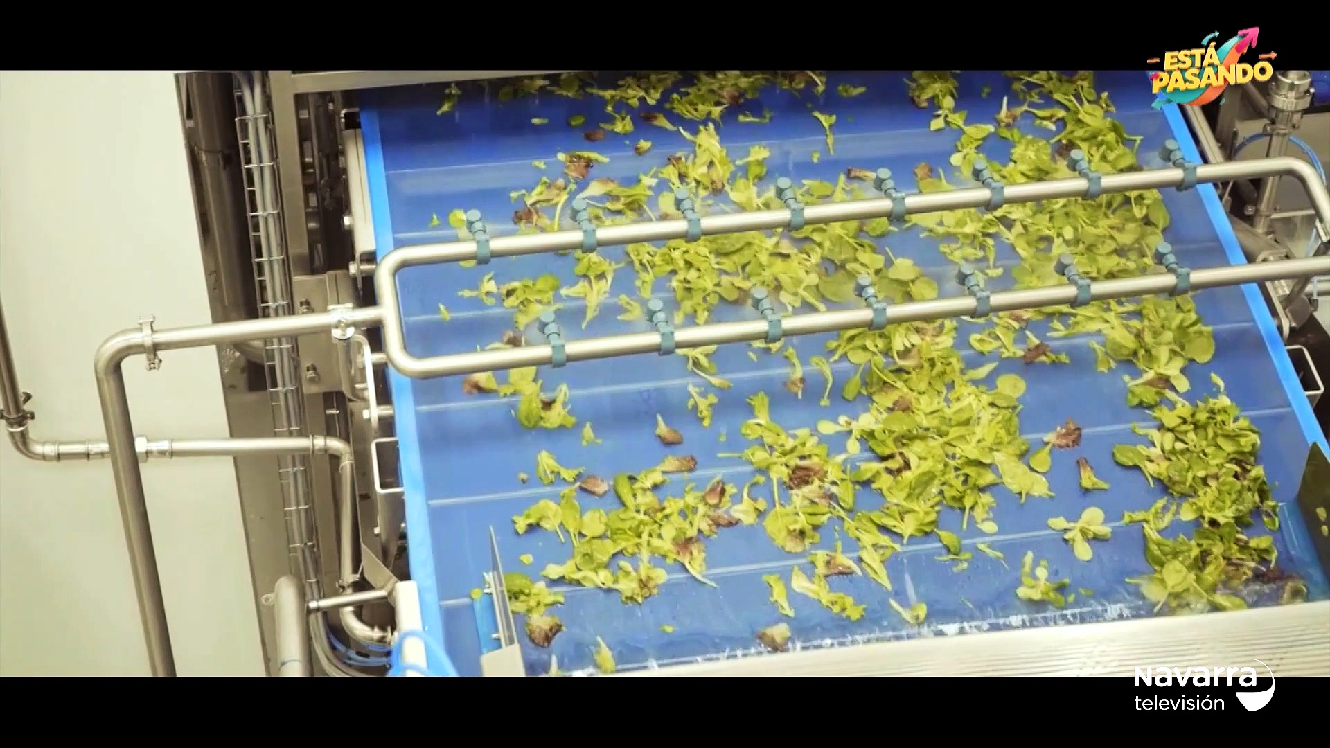 Nutrientes beneficiosos para la microbiota a partir de residuos