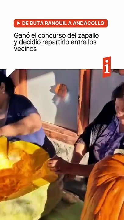 Desde Buta Ranquil a Andacollo: ganó el concurso del zapallo y decidió repartirlo entre los vecinos
