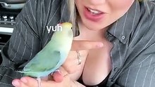 Drama Queen Bird 2 😂 #PetBird