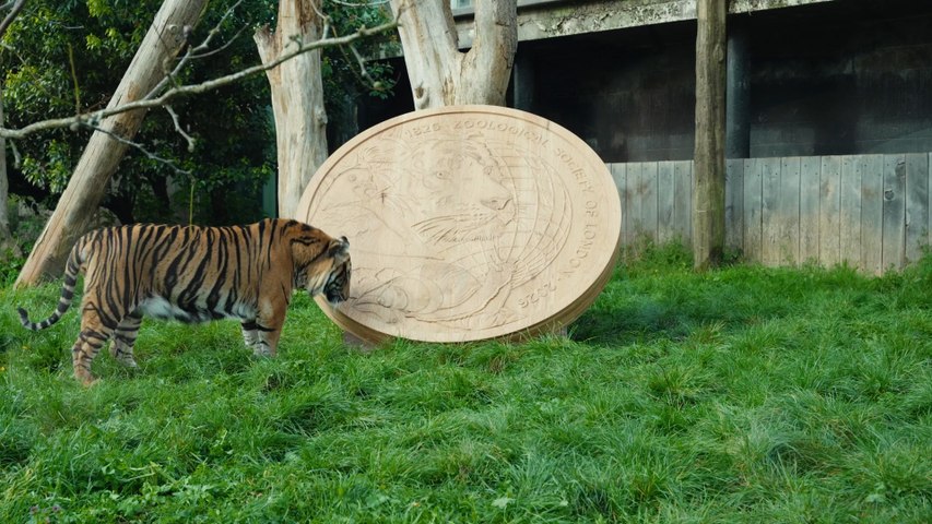 Royal Mint Unveils £2 Coin to Celebrate ZSL's 200th Anniversary