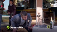 Crimes parfaits