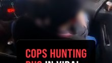 Melaka cops hunt bus driver, woman over viral ‘lap stunt’ video