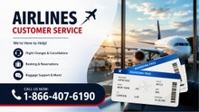 【Official Contact】 American Airlines™ Customer Service Guide — Toll-Free Numbers & Assistance