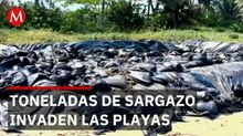 Sargazo invade playas de Veracruz y genera alerta ambiental