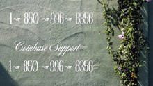 All the Ways to Reach™ Coinbase CUSTOMER© SUPPORT℗Number
