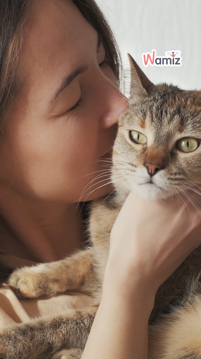 Débat : ton animal ou un enfant inconnu