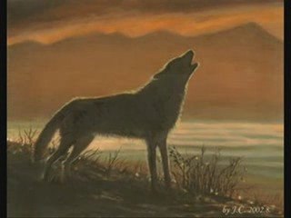 Mes photos favorites...