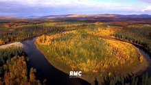 Into the Wild : Alaska