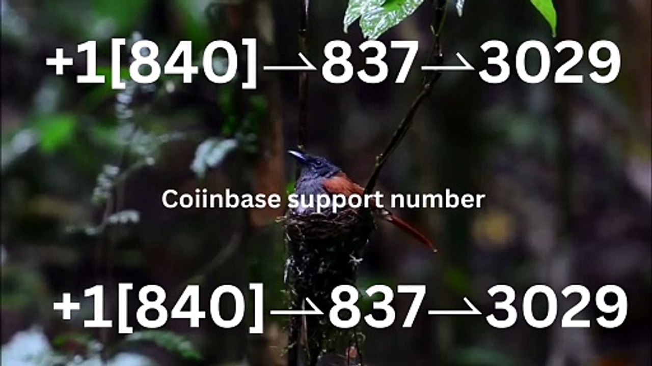 ⬊®⬋[OFFICIAL®] ] Coinbase CUSTOMER CARE SERVICE℠ Number — All Methods