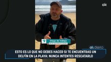 Esto es lo que no debes hacer si te encuentras un delfín en la playa: nunca intentes rescatarlo