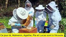 APICULTURE AU COLLEGE NOTRE-DAME A LISIEUX