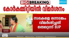 ക്രൈസ്തവസഭകൾക്കെതിരായ പരാമർശം: പി.സി. ജോർജിനും ഷോൺ ജോർജിനും ബിജെപി കോർ കമ്മിറ്റിയിൽ വിമർശനം