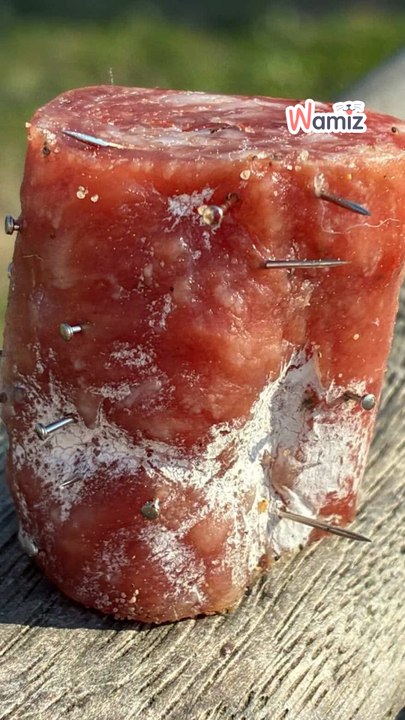 It looks like an ordinary piece of meat… but it isn't.