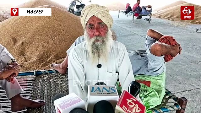 ਆਪ ਐੱਮਪੀ ਅਤੇ ਡੀਸੀ ਨੇ ਕਣਕ ਖਰੀਦ ਸ਼ੁਰੂ ਕਰਨ ਦਾ ਕੀਤਾ ਦਾਅਵਾ, ਕਿਸਾਨਾਂ ਨੇ ਕਿਹਾ- ਸਿਰਫ ਭਰੋਸਾ ਮਿਲਿਆ