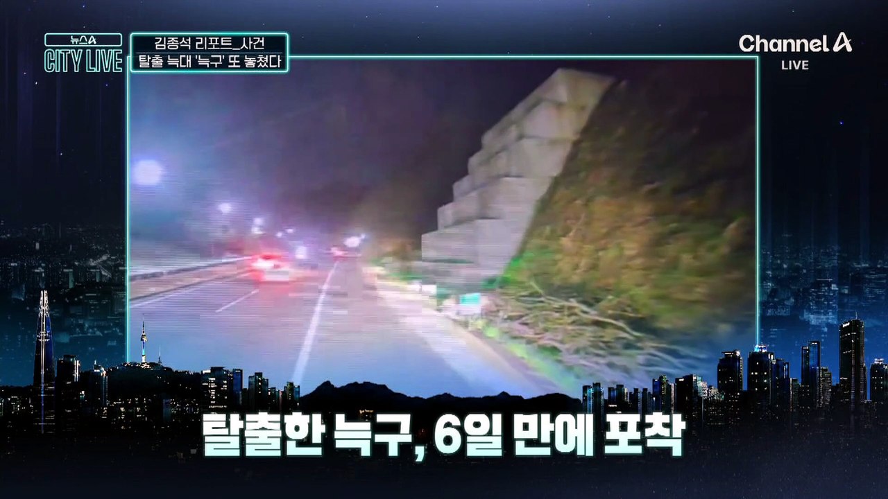 [김종석의 리포트]“날쌔고 건강” 마취총 피했다